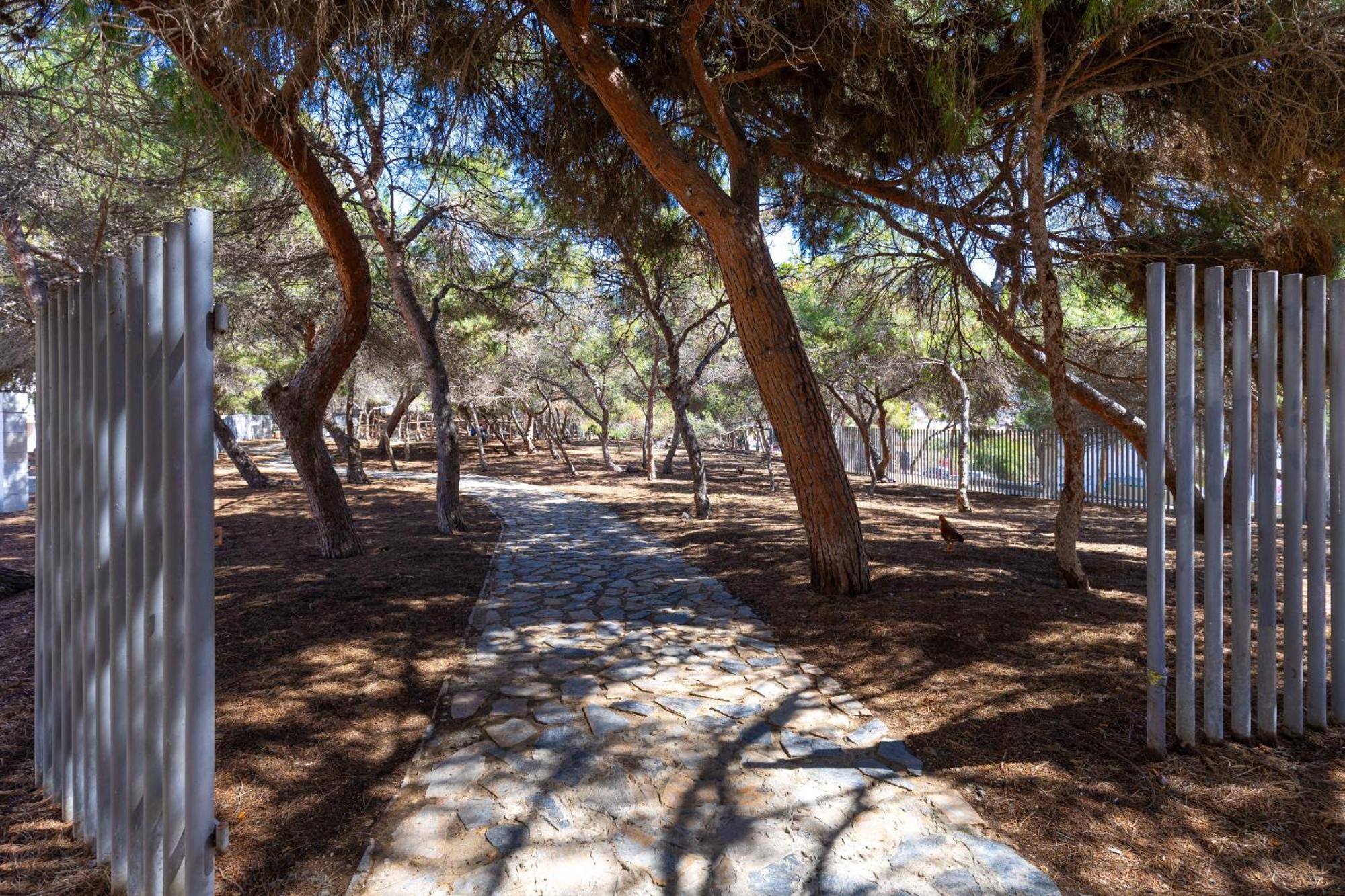 דירות El Moncayo Magical Sunsets By Fidalsa מראה חיצוני תמונה